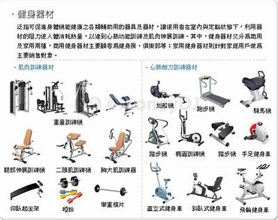 《优质体育器材推荐：专业按摩器选购指南》，身体按摩器材