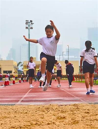 石河子小学体育器材介绍及使用方法，小学体育器材价格一览表