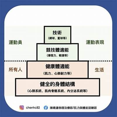 如何选择适合自己设置高度的体育器材？，体育器材尺寸